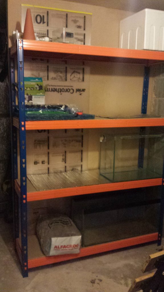 How I built my fish ‘roomette’ Aquarium Adventures